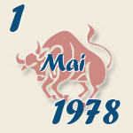 Stier, 1. Mai 1978.  