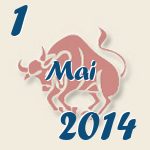 Stier, 1. Mai 2014.  