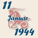 Steinbock, 11. Januar 1944.  