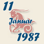 Steinbock, 11. Januar 1987.  
