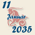 Steinbock, 11. Januar 2035.  