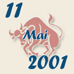 Stier, 11. Mai 2001.  