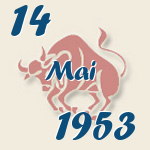 Stier, 14. Mai 1953.  