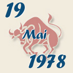 Stier, 19. Mai 1978.  