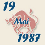 Stier, 19. Mai 1987.  