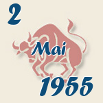 Stier, 2. Mai 1955.  