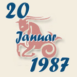 Steinbock, 20. Januar 1987.  