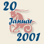 Steinbock, 20. Januar 2001.  