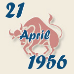 Stier, 21. April 1956.  