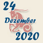 Steinbock, 24. Dezember 2020.  