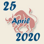 Stier, 25. April 2020.  
