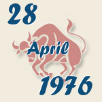 Stier, 28. April 1976.  