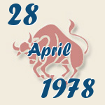 Stier, 28. April 1978.  