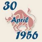 Stier, 30. April 1956.  