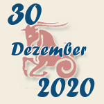 Steinbock, 30. Dezember 2020.  