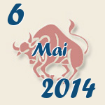 Stier, 6. Mai 2014.  