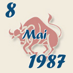Stier, 8. Mai 1987.  