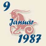 Steinbock, 9. Januar 1987.  